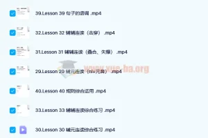 雪梨老师英语精品课三合一课程