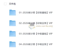 2026初中级审计课程资料