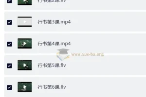 戴鸿涛钢笔字视频教程：正楷20讲+行楷14讲