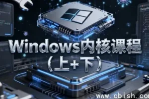 Windows内核课程（上下册）：含源码与课件的深度教学