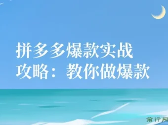 拼多多爆款实战攻略：教你打造拼多多爆款