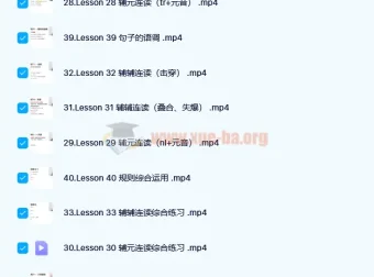 雪梨老师英语精品课三合一课程