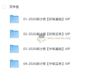 2026初中级审计课程资料