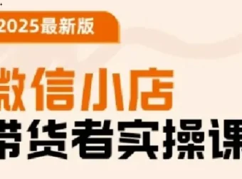 陈奶爸老师微信小店带货者实操课