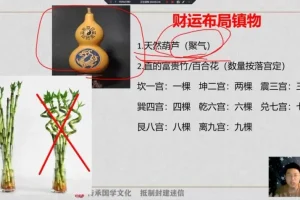 林涵予奇门遁甲风水实战7讲：财运事业姻缘布局课程