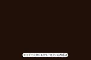 探索艺术史：从奥赛到卢浮宫的深度艺术之旅