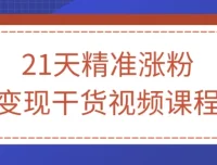 21天精准涨粉变现干货视频课程