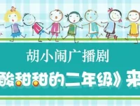 胡小闹广播剧《酸酸甜甜的二年级》48集全