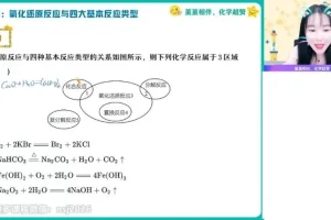 2024高一化学精品课：名师王瑾全攻略课程