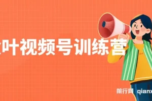 秋叶视频号训练营：全方位视频号培训课程