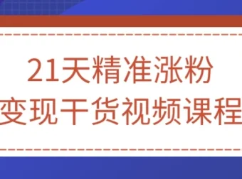 21天精准涨粉变现干货视频课程