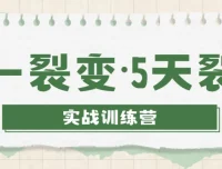 零一裂变·5天裂变实战训练营