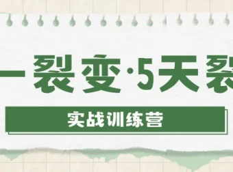 零一裂变·5天裂变实战训练营