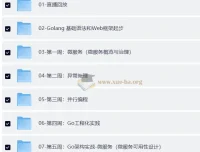 Go进阶训练营4期：带源码课件