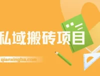 淘私域搬砖项目：利用信息差月入5W，轻松上手后期躺赚