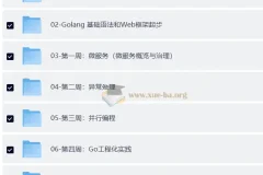 Go进阶训练营4期：带源码课件