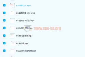 刘天麒高中数学大招课：七哥大招秀