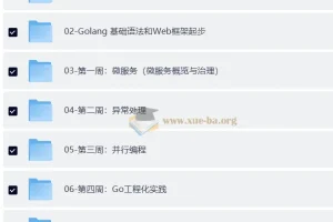 Go进阶训练营4期：带源码课件