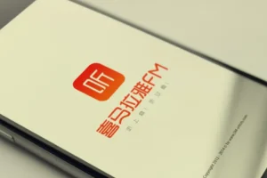 《赚钱认知》喜马拉雅被下架节目集锦（9集全）