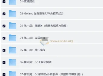 Go进阶训练营4期：带源码课件