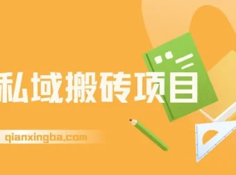 淘私域搬砖项目：利用信息差月入5W，轻松上手后期躺赚