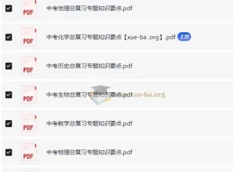 中考总复习专题知识点资料