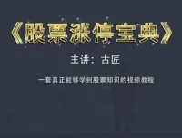 古匠《股票涨停宝典：高级炒股课程》