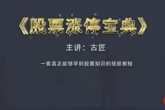 古匠《股票涨停宝典：高级炒股课程》