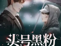 有声小说《头号黑粉》：纯爱都市多人有声剧全252集完结