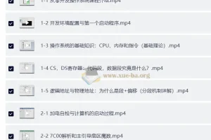 从零开发操作系统：从加电自检到内核引导