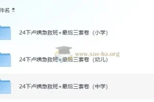 2024教资卢姨押题最后三套卷及急救班