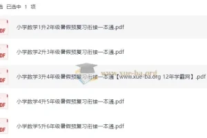 2025年小学数学暑假预复习衔接一本通