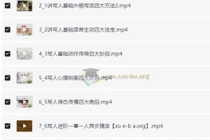 肖书媛老师语文学习全集：满分作文、阅读满分与学霸技巧课程