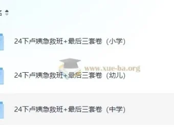 2024教资卢姨押题最后三套卷及急救班