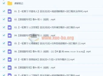 2024初三中考英语林淼A+尖端寒假班