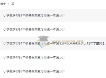 2025年小学数学暑假预复习衔接一本通
