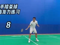 迪迪王羽毛球64节PRO特训课：30天速成高远球、杀球、反拍技巧