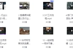 莱尼日记影视剪辑全流程入门与短剧实战课