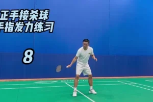 迪迪王羽毛球64节PRO特训课：30天速成高远球、杀球、反拍技巧