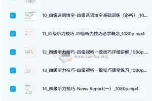 邹老师大学英语四级听阅精品课程