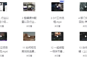 莱尼日记影视剪辑全流程入门与短剧实战课