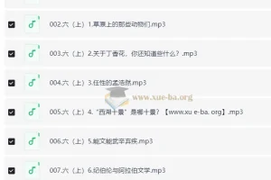 馒头大语文伴读·小学语文六年级（上+下）