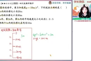 2024高一物理秋季系统课-林婉晴尖端班（含追及相遇、牛顿定律、曲线运动）