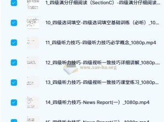 邹老师大学英语四级听阅精品课程