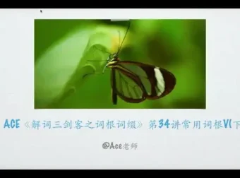 掌握267个核心词根：英语单词速记秘籍