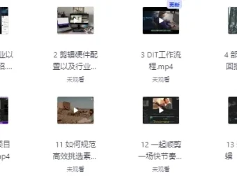 莱尼日记影视剪辑全流程入门与短剧实战课