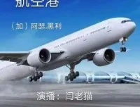 阿瑟·黑利职场小说《航空港》82集全