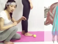 四阶段高级体态训练定制课程：全面改善体态