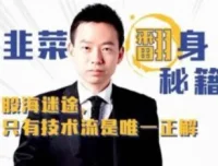 《股市实战课：韭菜翻身秘籍》
