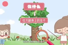 螺蛳大语文：小学作文全阶段提升课程